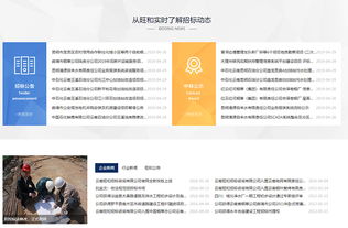 旺和招標(biāo)咨詢 專業(yè)引領(lǐng)，精準(zhǔn)服務(wù)工程招標(biāo)與商務(wù)信息咨詢